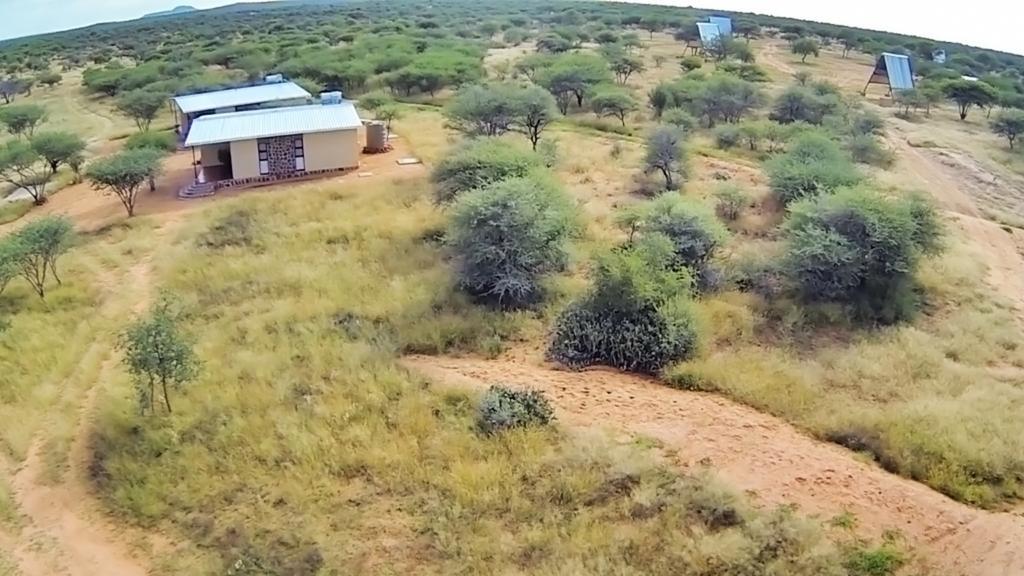 Ovita Wildlife Restcamp Okazize Стая снимка